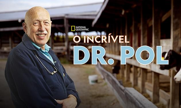 O incrivel